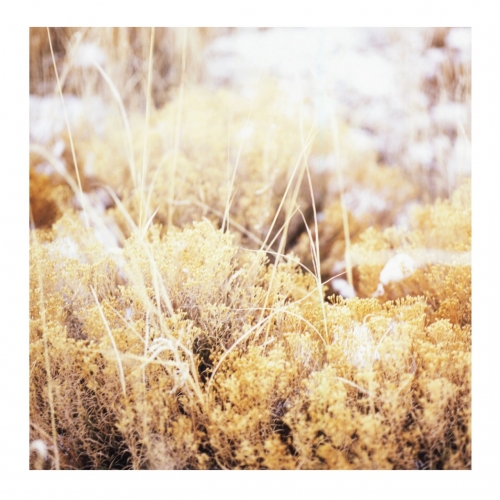 Mamiffer - The Brilliant Tabernacle (2019)