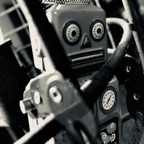 Ascent - Bleed Like Us (2019)