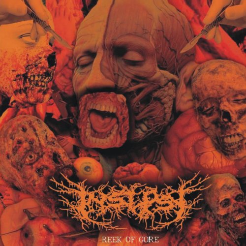 Insepsy - Reek Of Gore (2020)