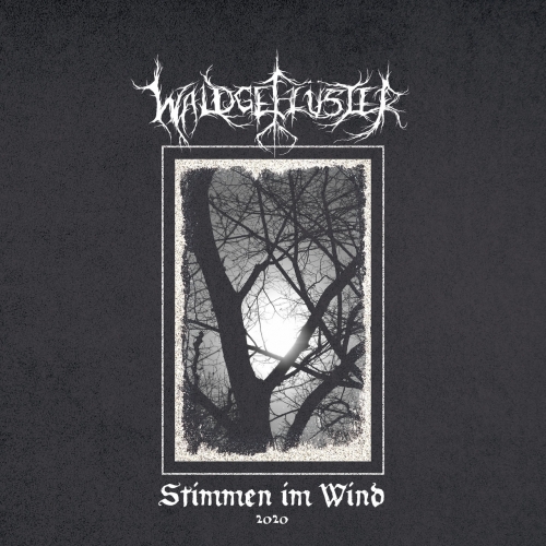 Waldgeflüster - Stimmen im Wind (2020)
