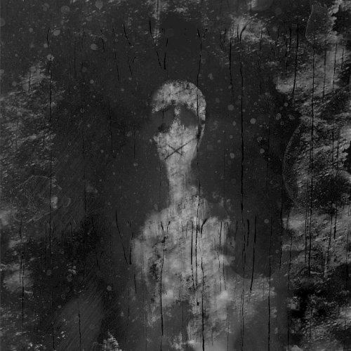 Reflections - Willow (2020)