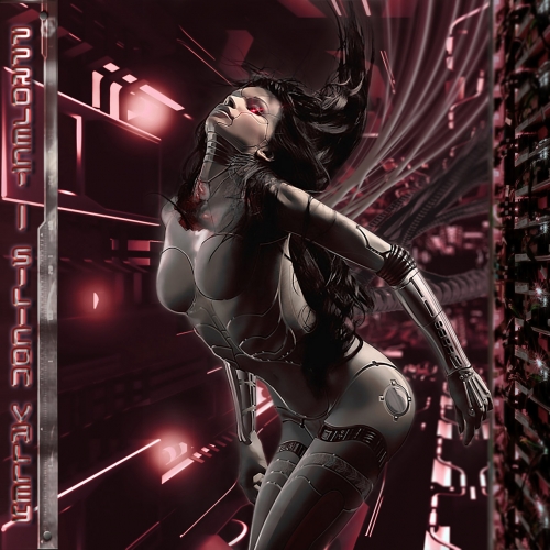 Pproject - Silicon Valley (2020)