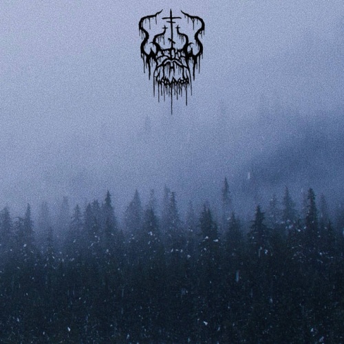 Within Thy Wounds - Forest Of Iniquity (2020)