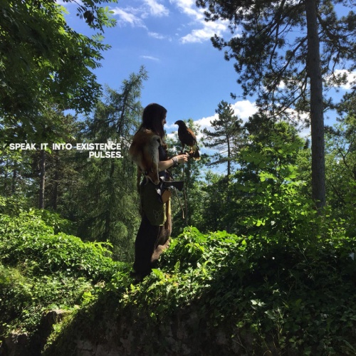 Pulses. - Speak It Into Existence (2020)