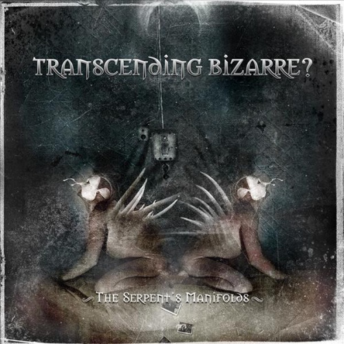 Transcending Bizarre? - Discography (2003-2010)