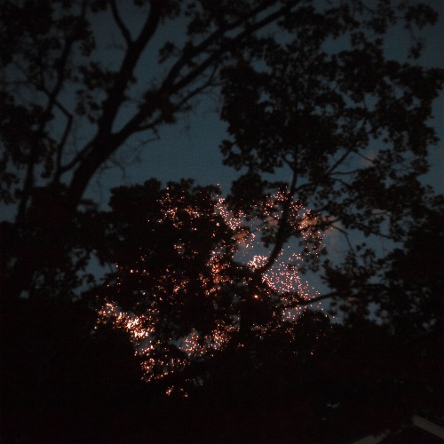 Gleemer - Down Through (2020)