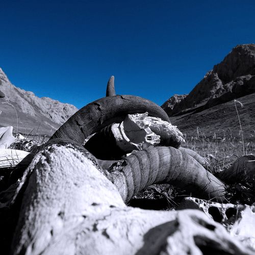 Hawkmoth - Buried in Obscurity (2020)