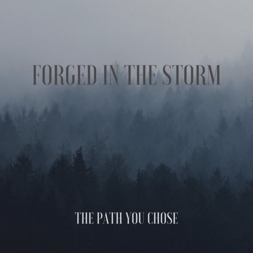 Forged In The Storm - The Path You Chose (2020)