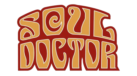 Soul Doctor - Sуstеm Gо Wild! [Jараnеsе Еditiоn] (2002)