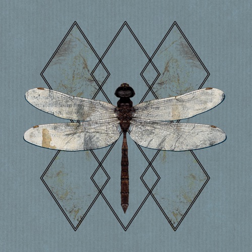 OHHMS - Close (2020)