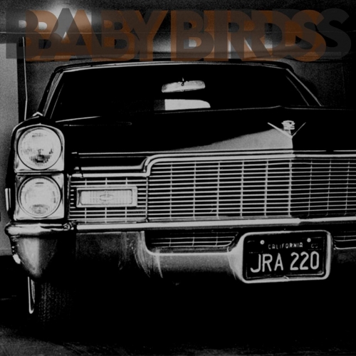 Baby Birds - An Olive Branch Wrapped in Barbed Wire (2020)