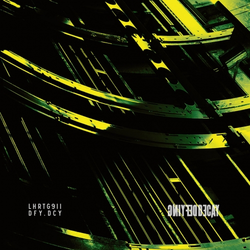 Defying Decay - LHRTG911 (2020)