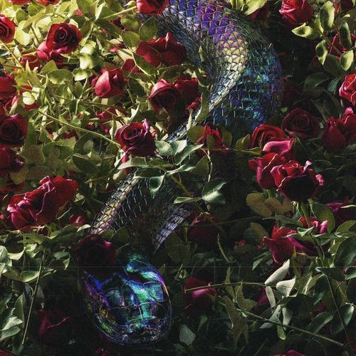 Winterquilt - O'discordia (2020)