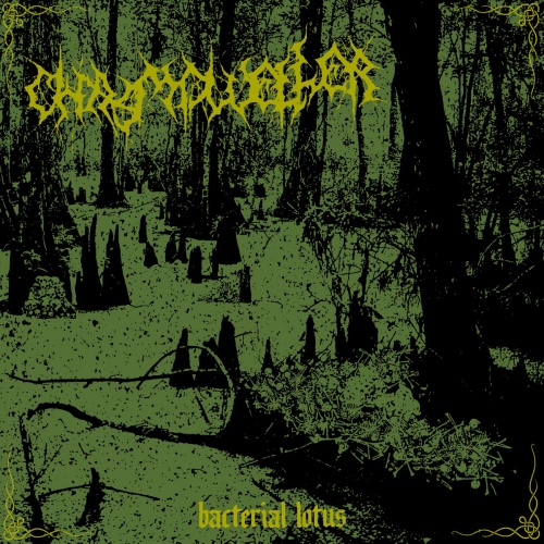 Chasmdweller - Bacterial Lotus (2020)