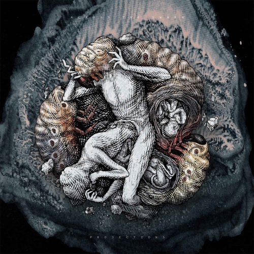 Across the Swarm - Projections (2020)