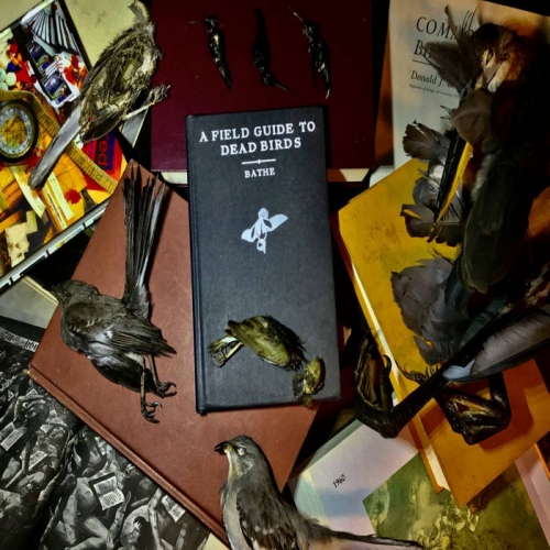 Bathe - A Field Guide to Dead Birds (2020)