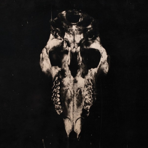 End Of Mankind - Antérieur à la lumière (2020)