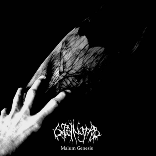 Steingrab - Malum Genesis (2020)