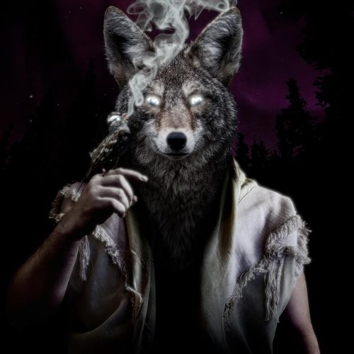 Nøkken + the Grim - Black Sparrow Sessions (2020)