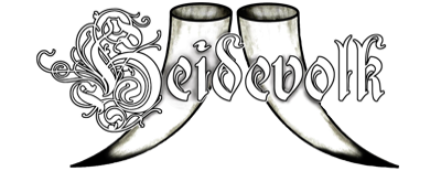 Heidevolk - Vuur Vаn Vеrzеt [Limitеd Еditiоn] (2018)