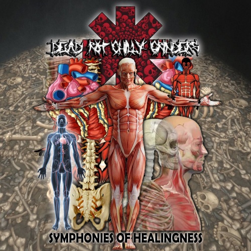 Dead Rot Chilly Grinders - Symphonies of Healingness (2021)