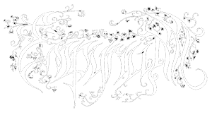 Empyrium - Discography (1995-2021)