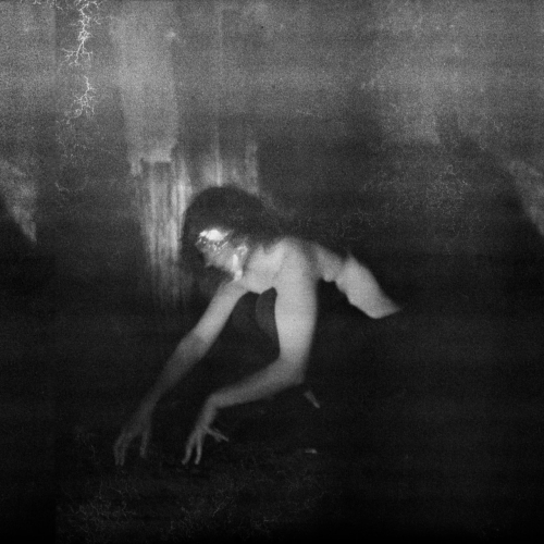 Demande à la Poussière - Quiétude Hostile (2021)