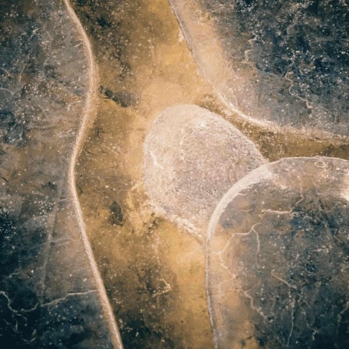  Jarun - Rok Spokojnego Słońca (2021)