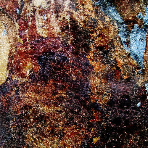 Celacanto - La bestia de tiempos remotos (2021)