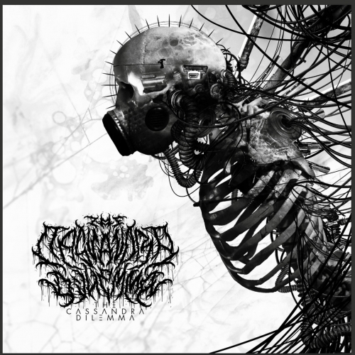 The Cassandra Dilemma - Animosity Reborn (2021)
