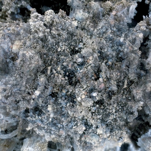 Horte - Maa antaa yon vaientaa (2021)