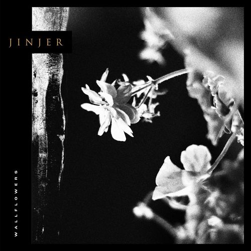 Jinjer - Wallflower (2021)