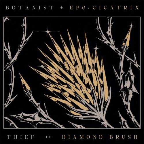 Thief/ Botanist - Cicatrix / Diamond Brush (2021)