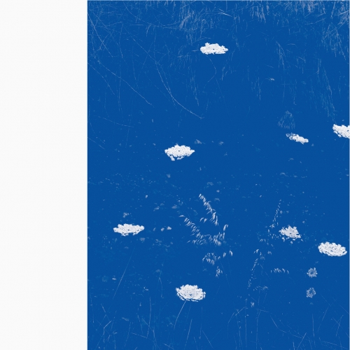 Merzbow - Flare Blues (2021)