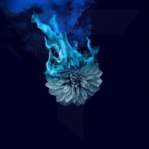 Wolves At The Gate - Lowborn (Single) (2021) Wolves At The Gate - Lowborn (Single) (2021)