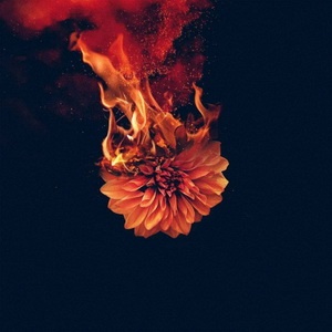 Wolves At The Gate - Shadows (Single) (2021) Wolves At The Gate - Shadows (Single) (2021)