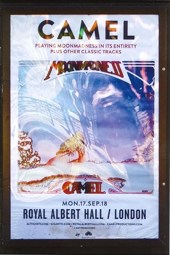 Camel -‎ Live At The Royal Albert Hall 2018 (2020)