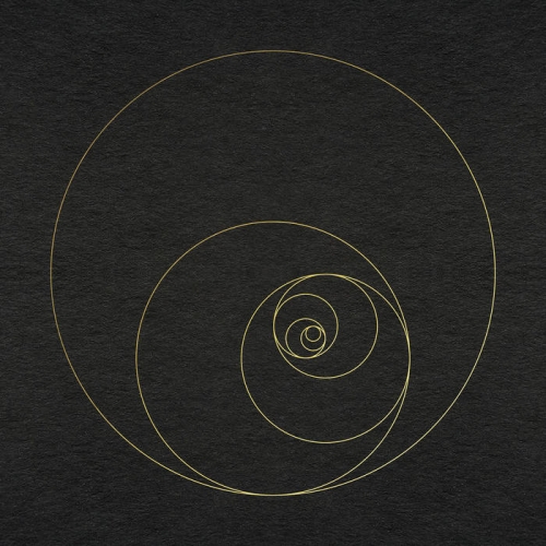 The Ocean Collective - Phanerozoic Live (2021)