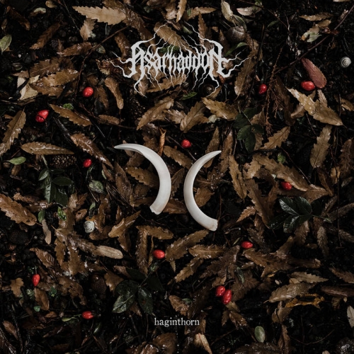 Asarhaddon - Haginthorn (2021)