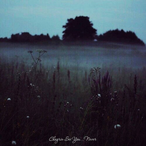 Chagrin - See You... Never (2022)