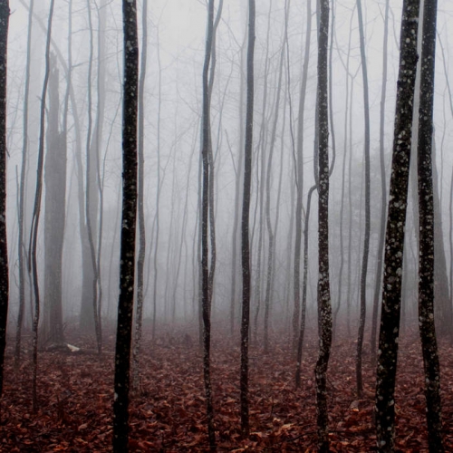 Kylmyyteen - Yö istui viereeni (2022)