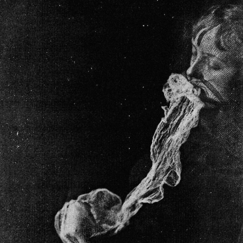 Faceless Entity - The Great Anguish of Rapture (2022)