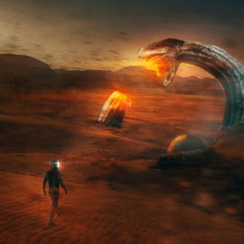 Stuperdoge - Physical Manifestation (2022)