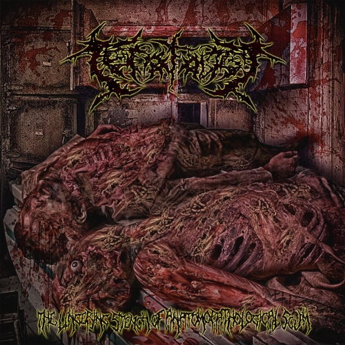 Teratology - The Lingering Stench of Anatomopathological Scum (2022)