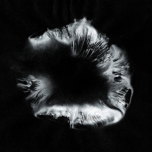 Rook - Infinite Empty (2022)