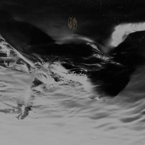 Limbs - Coma Year (EP) (2022)