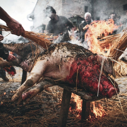 Holocausto Canibal - Crueza Ferina (2022)