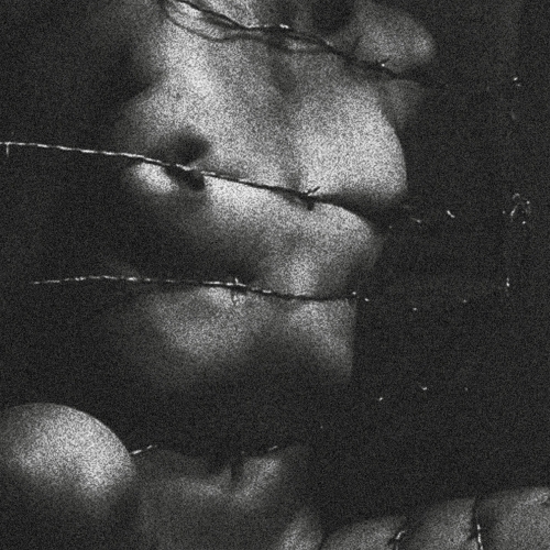 Clavicvla - Degeneracy of the 5th Density (2022)