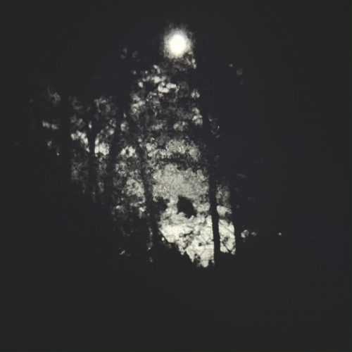 Isvara - XIV: Primordial Void Memories (2022)