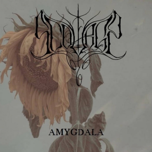 Scourge666 - Amygdala (2022)